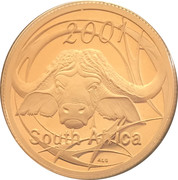 5 Cents (Buffalo - Power of Africa) – anverso