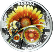 20 dollars - Élisabeth II (Merveille au soleil) -  avers