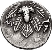 Didrachm – revers
