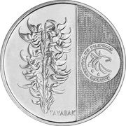 5 Piso (Round) – Rückseite