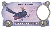 1 Pound – reverso