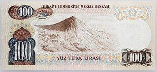 Picture 1 of a sold 100 Lira